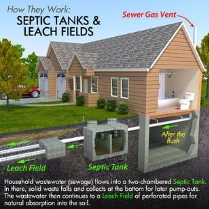 Septic tank & leach fields graphic